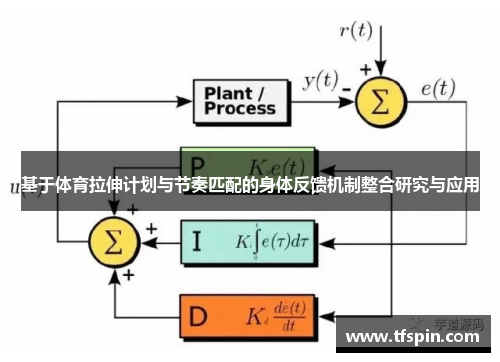 基于体育拉伸计划与节奏匹配的身体反馈机制整合研究与应用